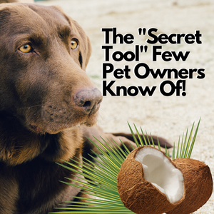 Coconut Oil The "Secret Tool" Few Pet Owners Know Of