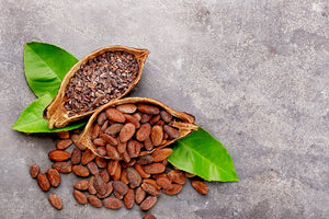 Boost Your Immune System with Raw Cacao Nibs: Health Benefits in the Age of COVID-19