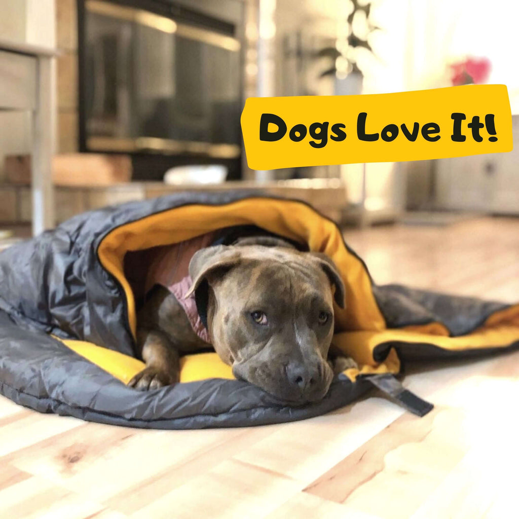 Why Should You Buy the Alpha Pet Zone Dog Sleeping Bag?